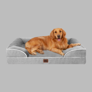 orthopedic dog beds