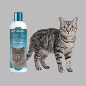 cat shampoo